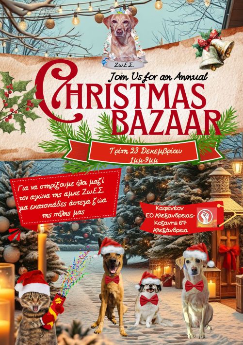 Christmas bazzar (4)